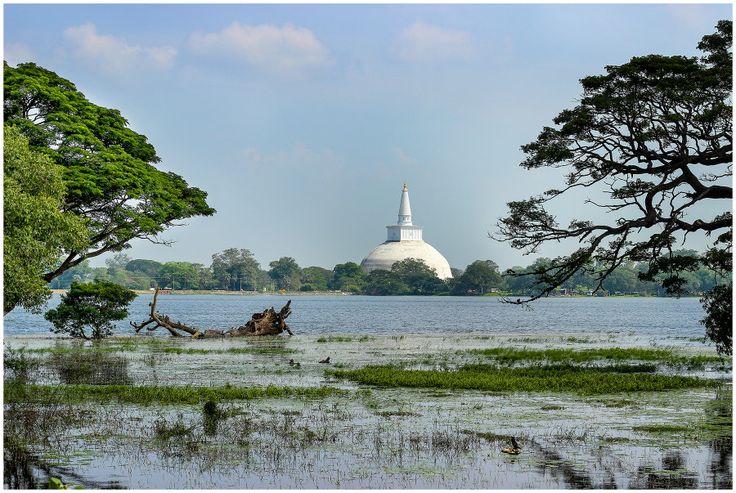 Anuradhapura Sacred City